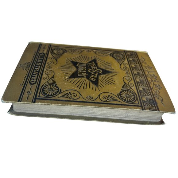 The Star Library Pilgrim’s Progress John Bunyan 1885 Book Antique - Picture 2 of 10